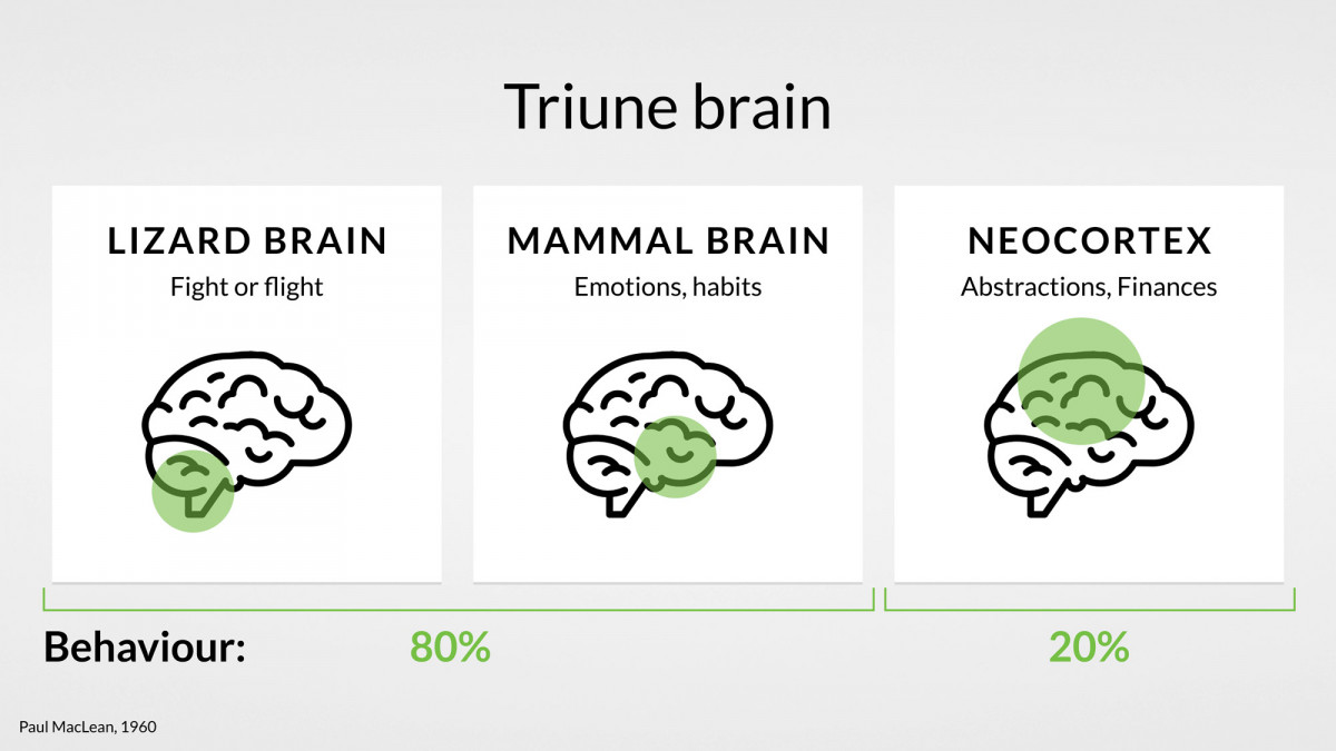 brain-user-behaviour-finance-habits-uxda